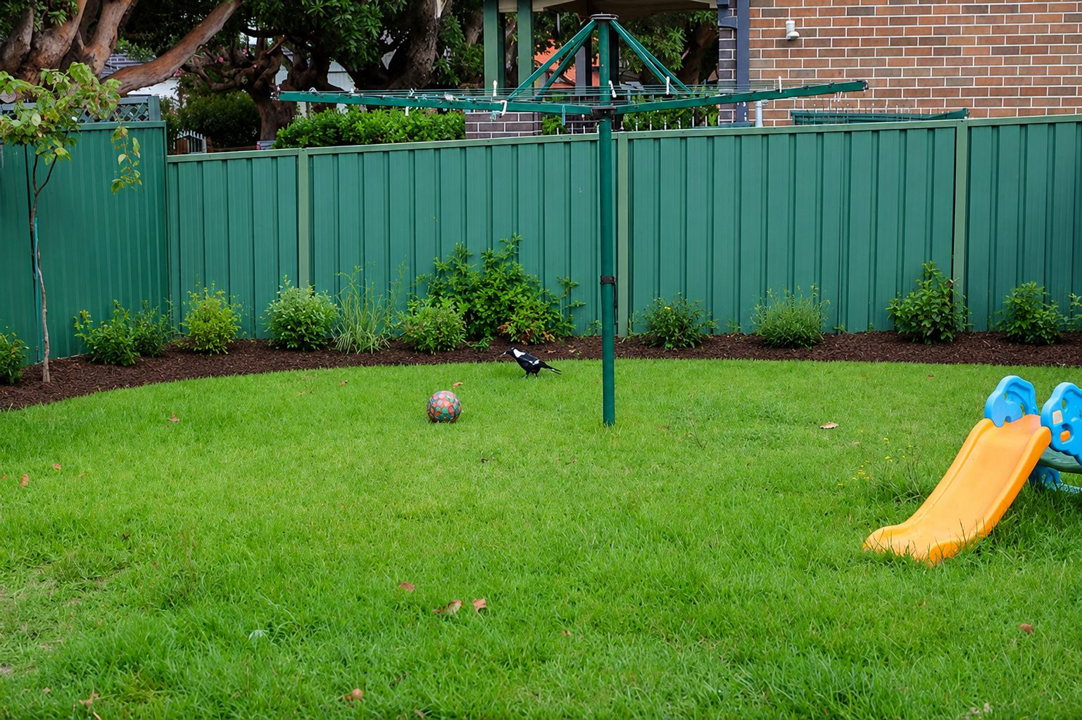 Backyard envisioned after re-mulching